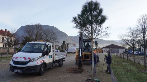 La nature gagne du terrain 