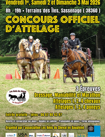 Concours d'attelage (chevaux et poneys)