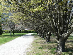 Le Parc de l'Ovalie